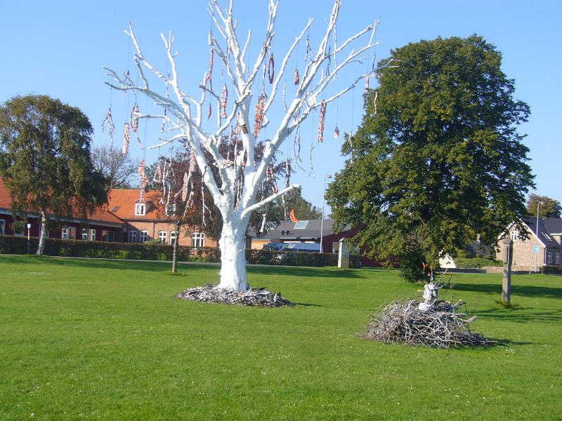 P1030370
