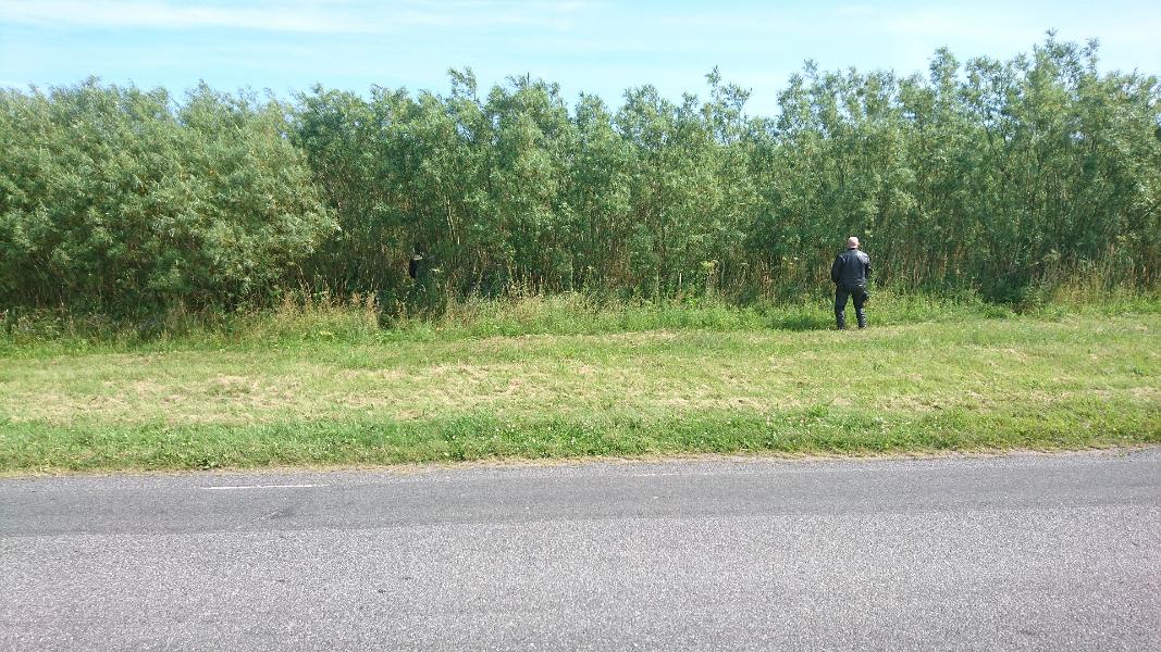 DSC_1018