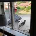 IMG_20180801_072252